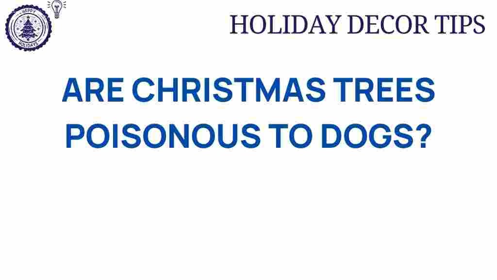 christmas-trees-poisonous-to-dogs