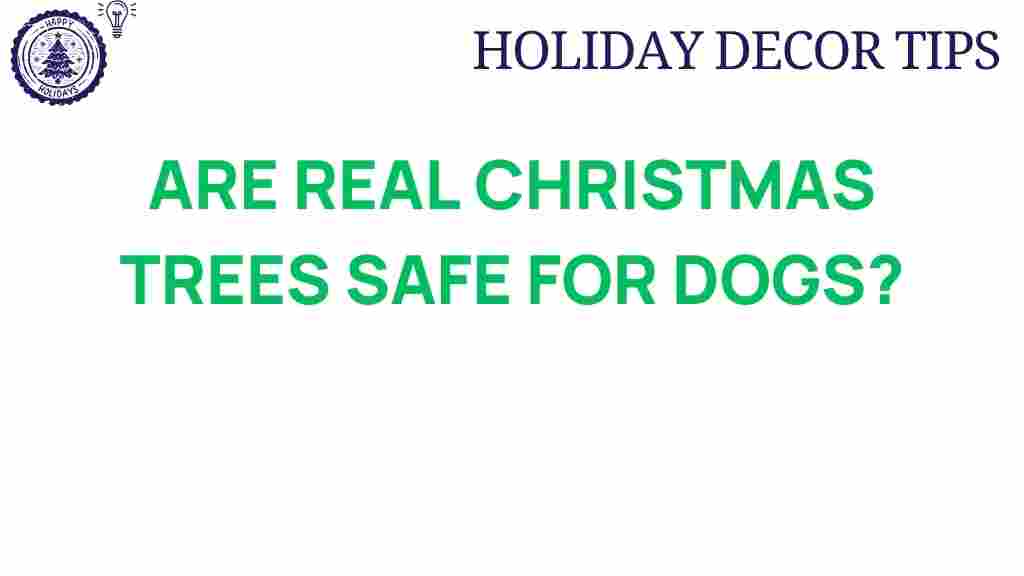 are-real-christmas-trees-safe-for-dogs