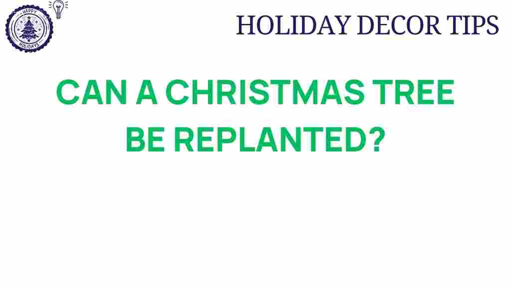 christmas-tree-replanted