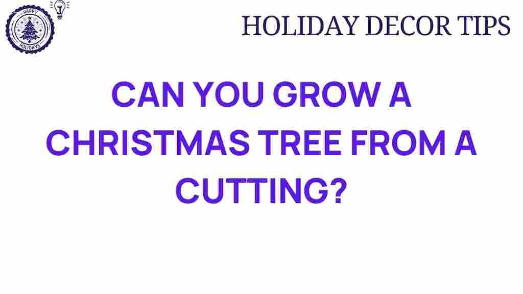 christmas-tree-cutting-propagation