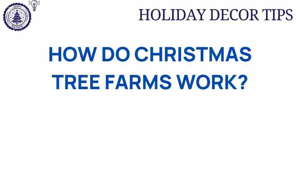 christmas-tree-farms-secrets