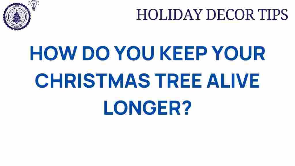 christmas-tree-care