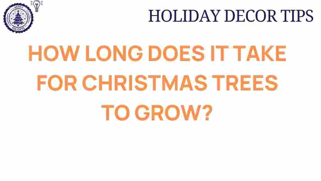 christmas-trees-growth-time