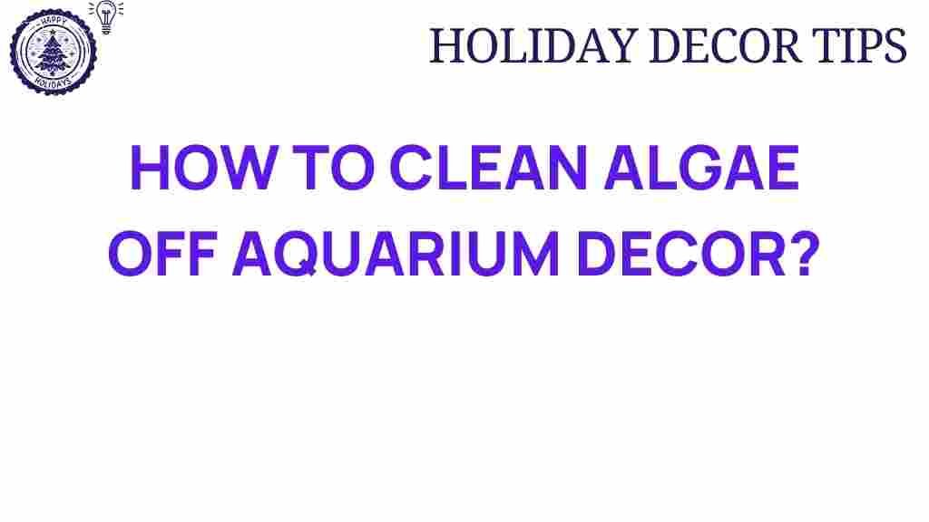 clean-algae-aquarium-decor