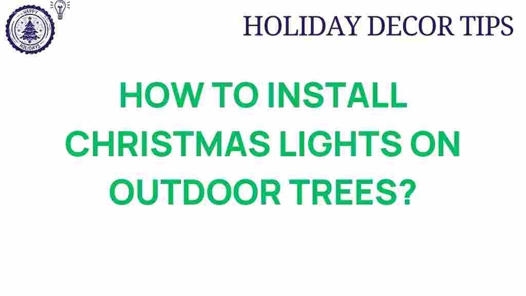install-christmas-lights-outdoor-trees