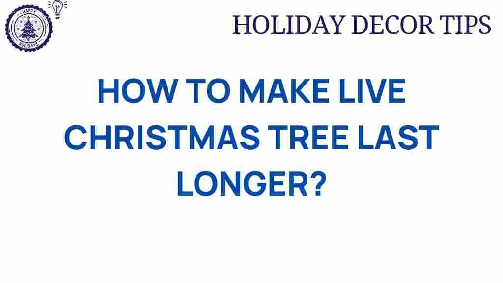 live-Christmas-tree-fresh