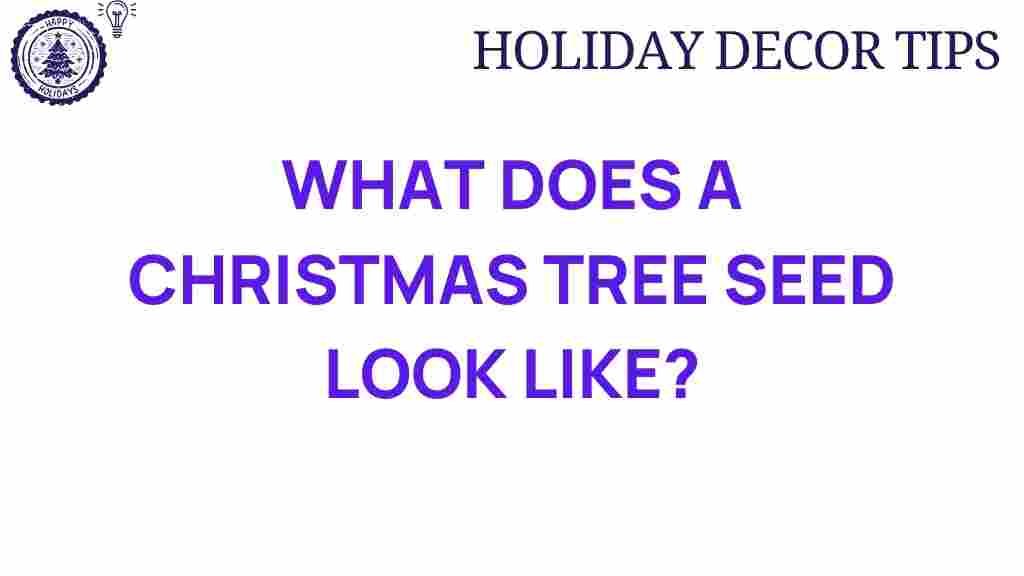 christmas-tree-seed