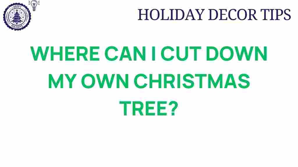 christmas-tree-cut-down-locations