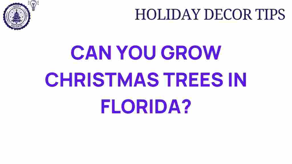 christmas-trees-florida