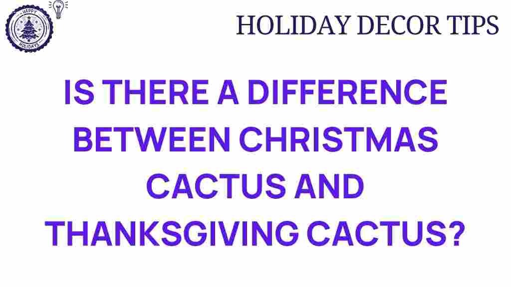 christmas-cactus-vs-thanksgiving-cactus